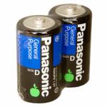 Panasonic R20 (D)