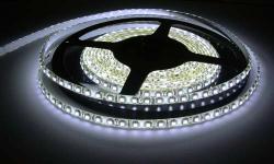 Светодиодная лента, герметичная, 3528 120 Led, цвет: холодный белый